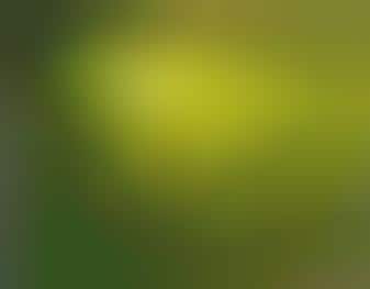 Green Walls