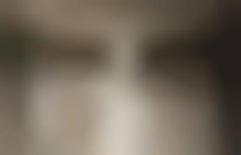 Landmark Statue Self-Snaps