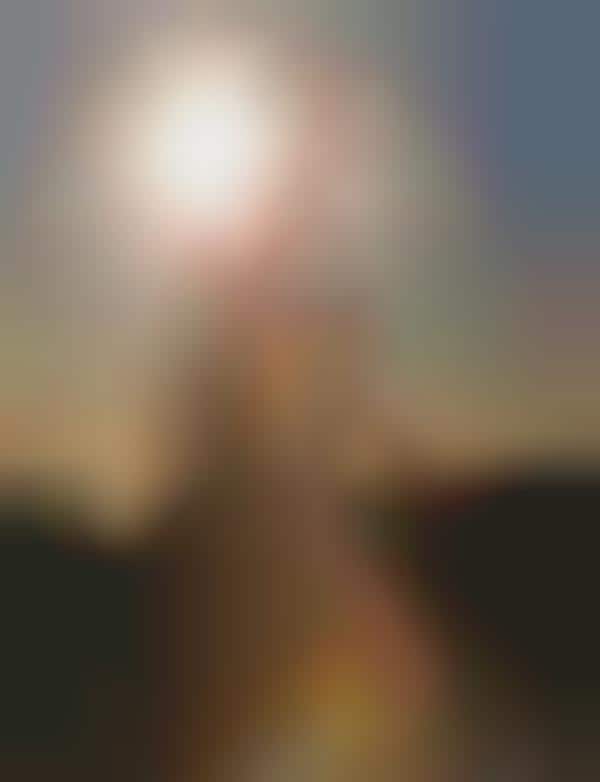 Shimmering Sunset Shoots