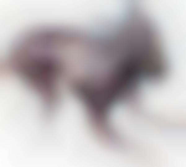 Brightly Haunting Art (UPDATE)