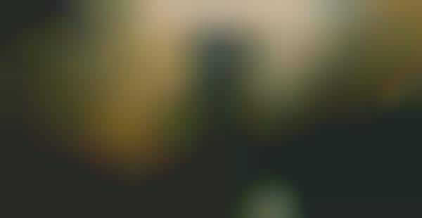 Smoked Emotography
