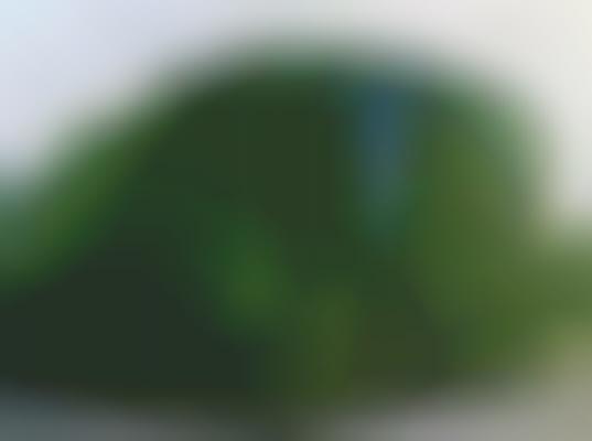 Green Wall Abodes
