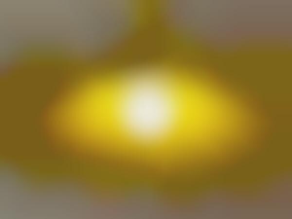 Bell Flower Lighting