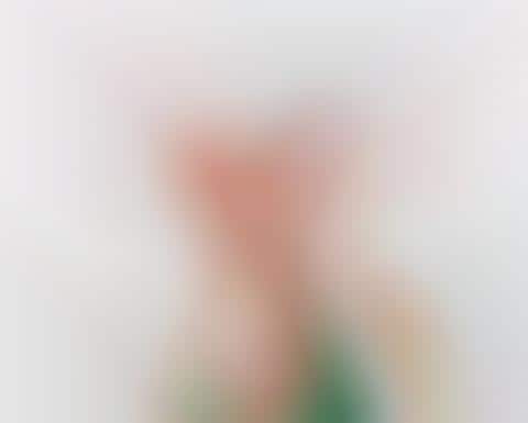 Face-Concealing Paintings