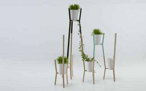 Modern Plant Trellises