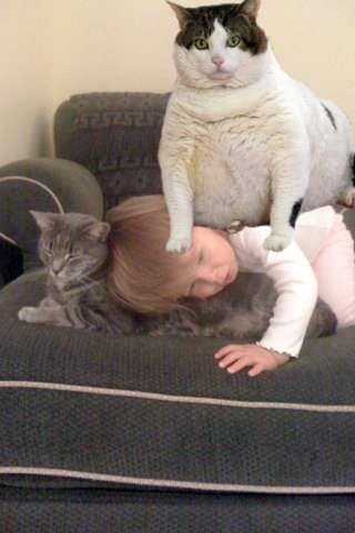 catpaint-app_66875eaa.jpeg