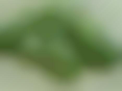 Miniaturized Summer Fruits