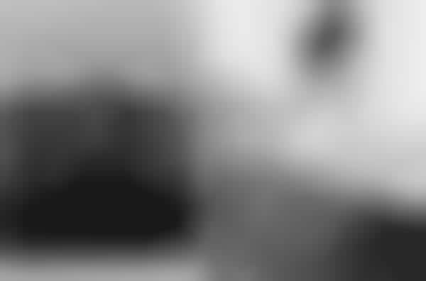 Free-Wheeling Monochrome Shoots
