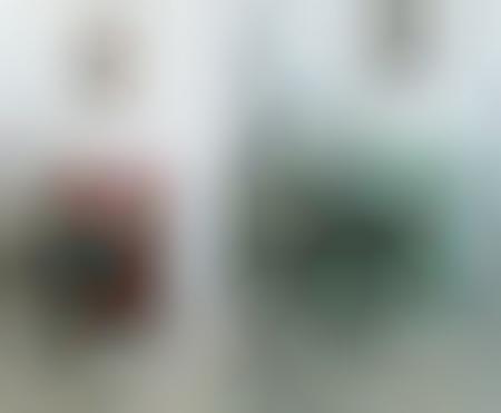 Hide-and-Seek Pictorials