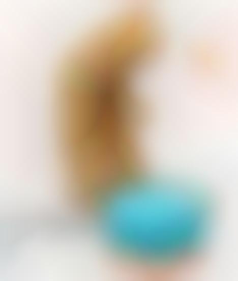 Social Media Cat Toys