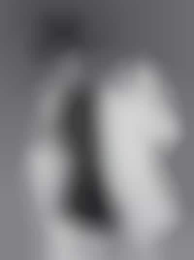 Slick Monotone Campaigns