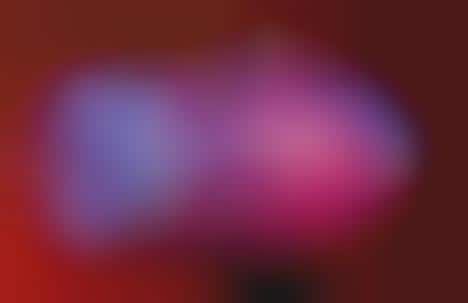 Color Explosion Photography