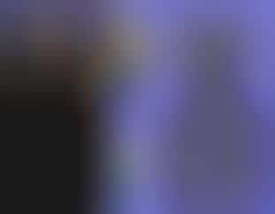 Facebook Gets Flashy
