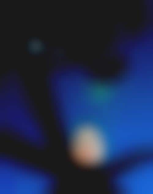 The Cellphone As Multimedia Object- Isabella Rossellini Mounts A Housefly On Your Screen