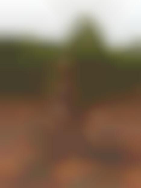 Barely-There Blurred Portraits