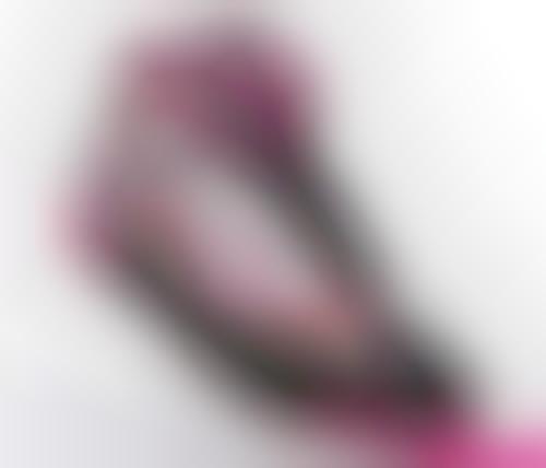 Female Shoe Algorithm