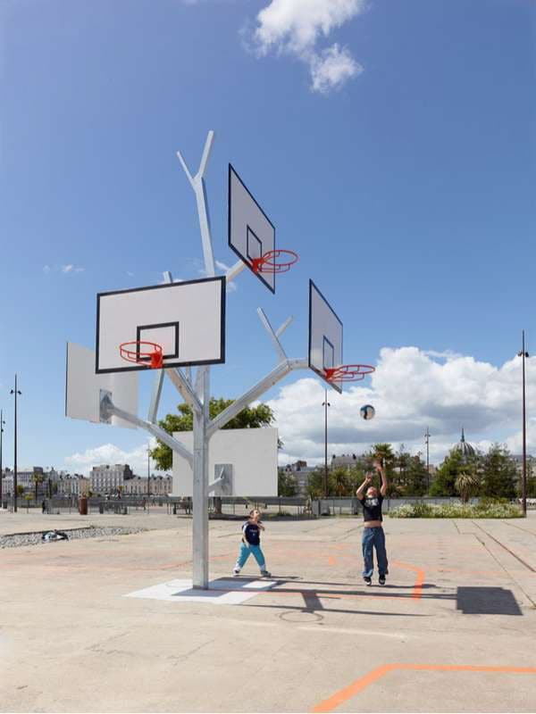 Arboreal-Inspired Ball Nets