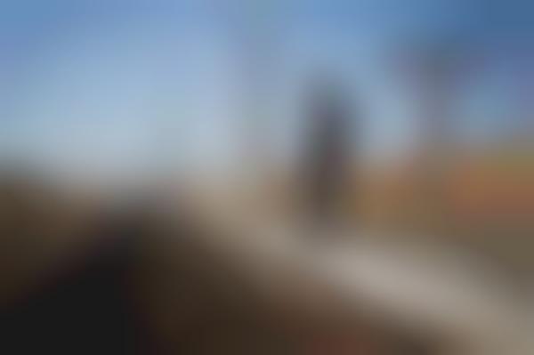 Southwest Traveler Pictorials
