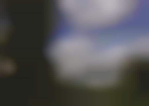 Grandiose Ghostly Galleries