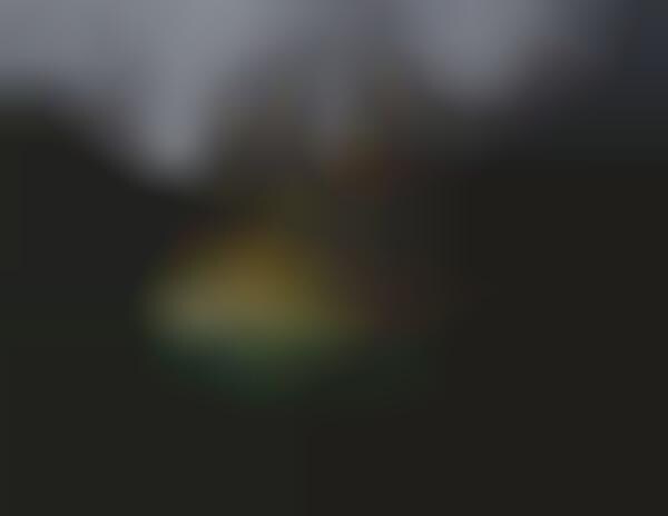 Illuminated Forest Captures
