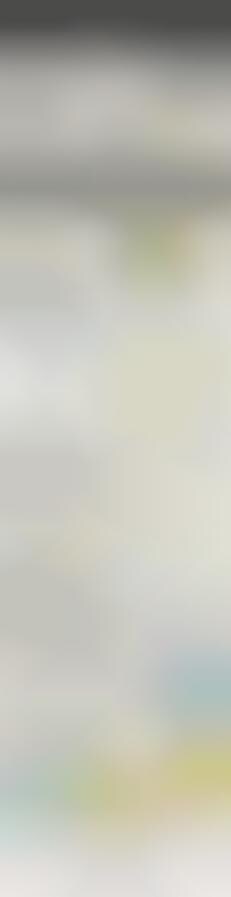 New Media Popularity Graphics