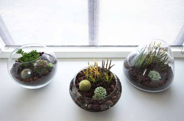 Transparent Handmade Planters