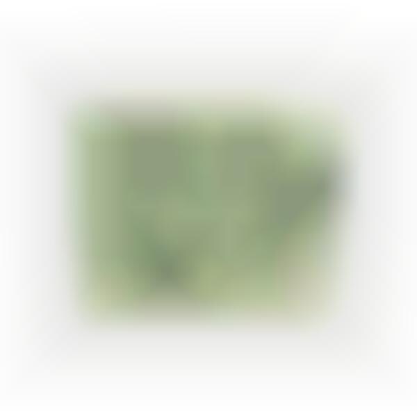 Fashionably Foldable Wallets