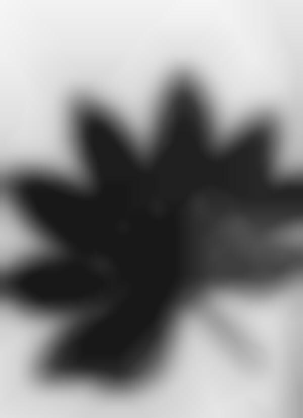 Foliage-bound Cityscapes