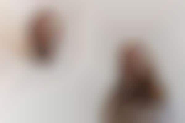 DNA-Constructed Portraits