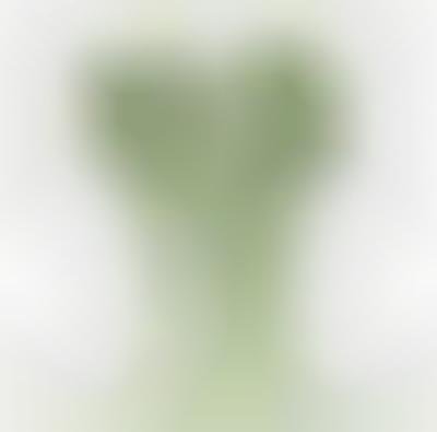 Flower Stem Speakers