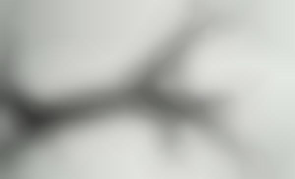 Branching Carbon Consoles