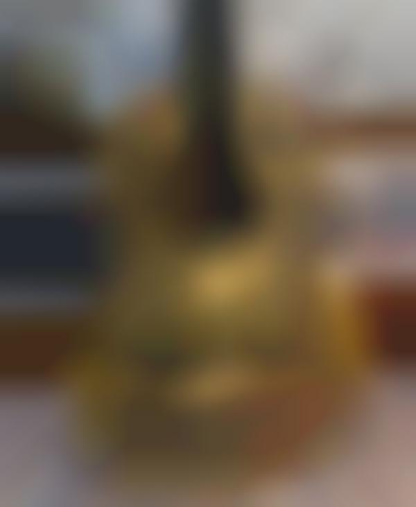 Fantasy Trilogy-Designed Guitars