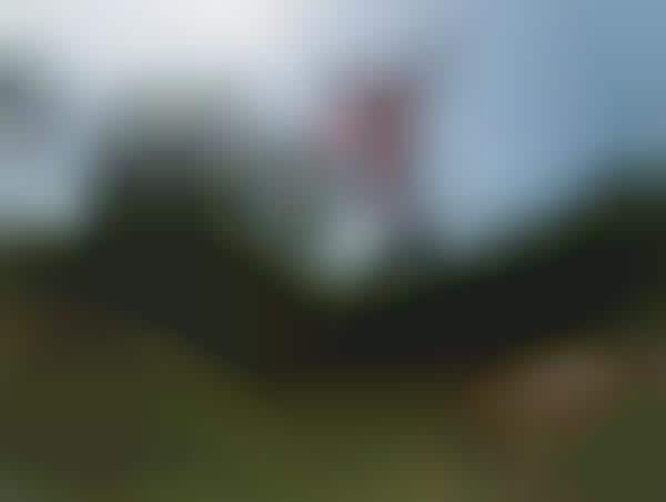 Wildly Frightened Athlete Photos