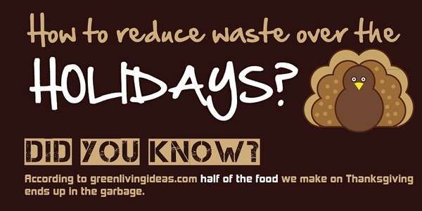 Holiday Waste-Reducing Infographics