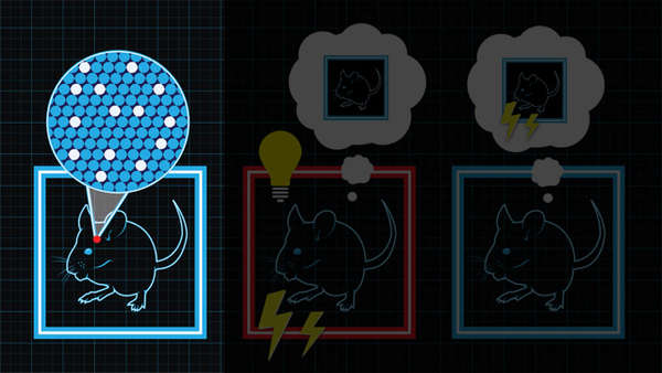 Inception-Like Memory Implants