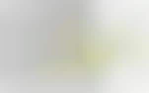 Twitter Style Video Updates