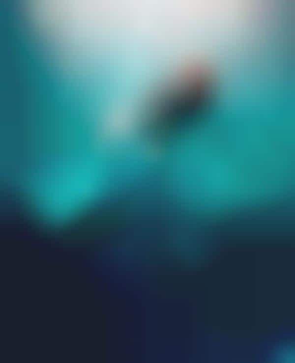 Submerged Siren Photography
