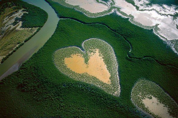 Conservationist Aerial Photography