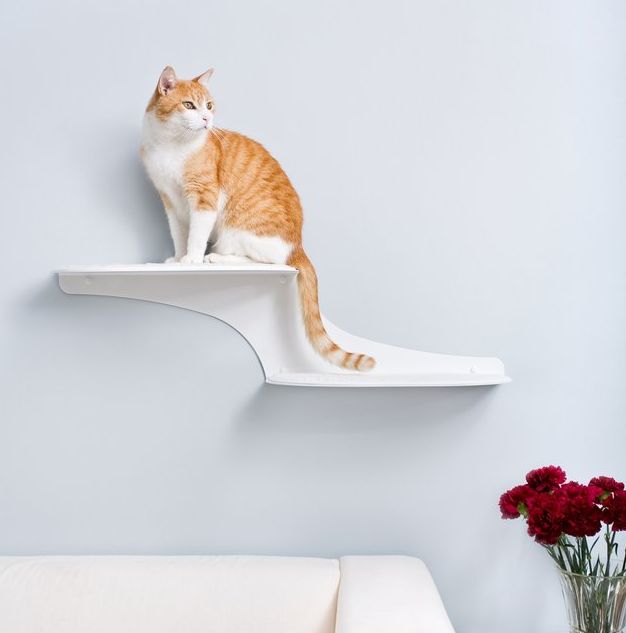 Floating Feline Furniture