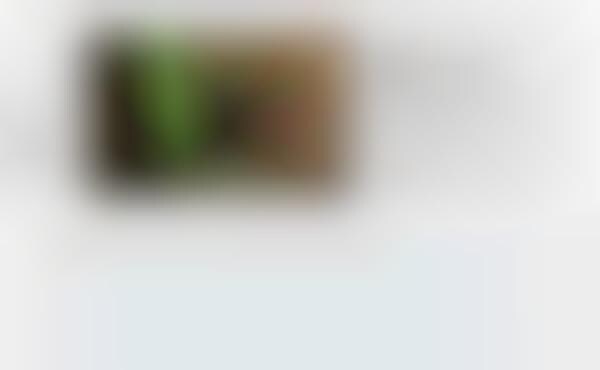 Interactive Movie Rumor Timelines