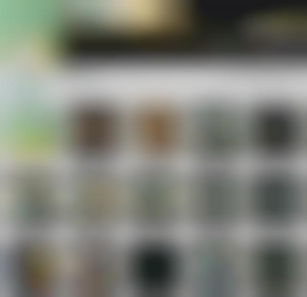 Instagram-Based TV Premieres