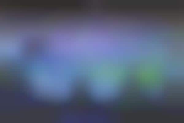 Interactive Scholarly Assignment Projectors