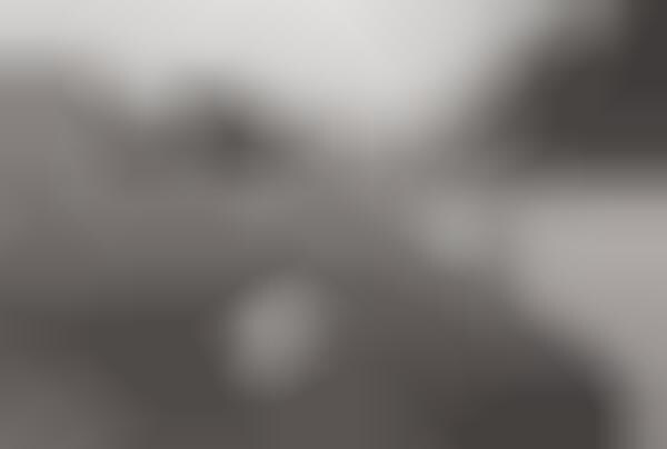Minimalist Grayscale Fashion Series
