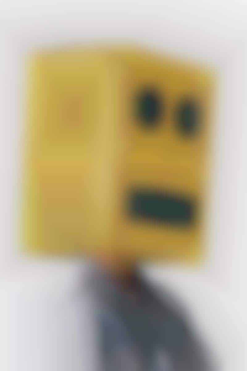 Robot Head Disguises