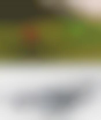 Intelligent Eyewear