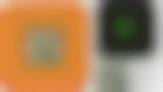 Tamagotchi Life Clocks