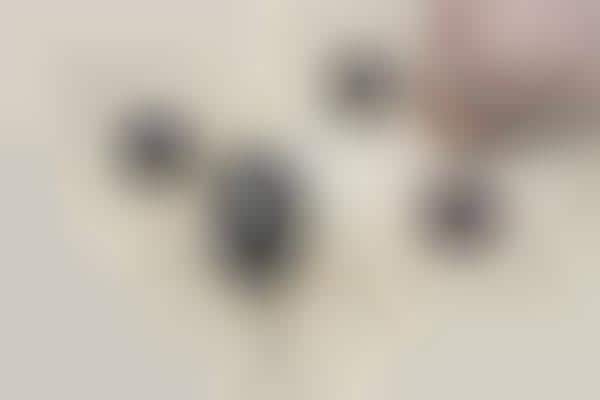 Many-Lensed Videography