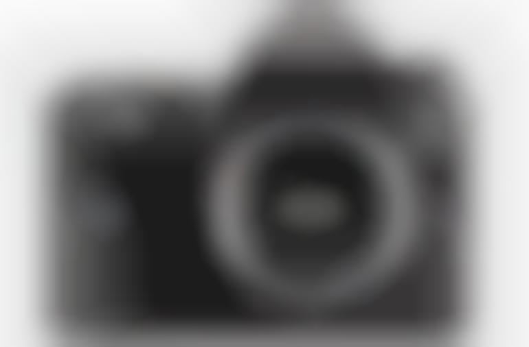 Weather-Resistant Cameras