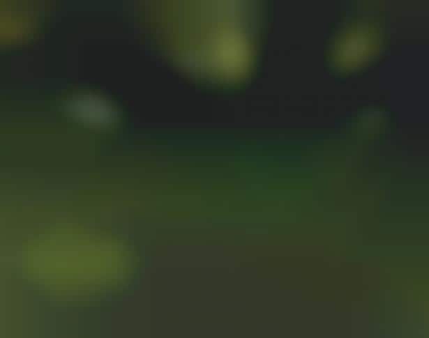 Hi-Tech Leaf-Like Lights