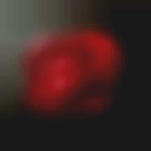 Apple-Inspired Artwork